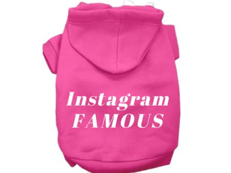 IG Famous Hoodie Online Hot Sale