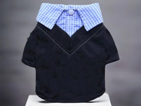 Dapper Boy Collar Dog Shirt Online Sale