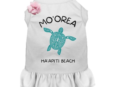 MO OREA HA APITI BEACH- Dog  - Pack Of: 1 Online now