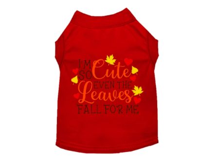 Leaves Fall For Me - Pack Of: 1 on Sale