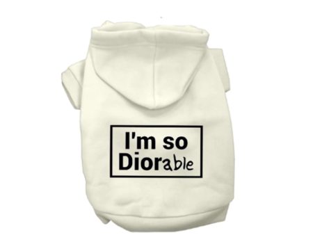 DIOR-able Hoodie Online now