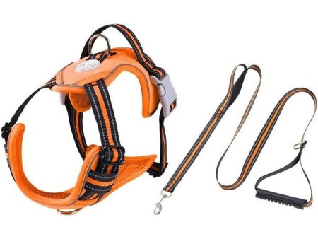 Dog Harness Vest | L Size | Orange Online Hot Sale