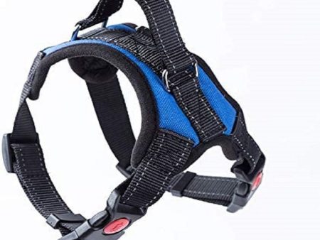 Dog Harness M Size | Blue Online now