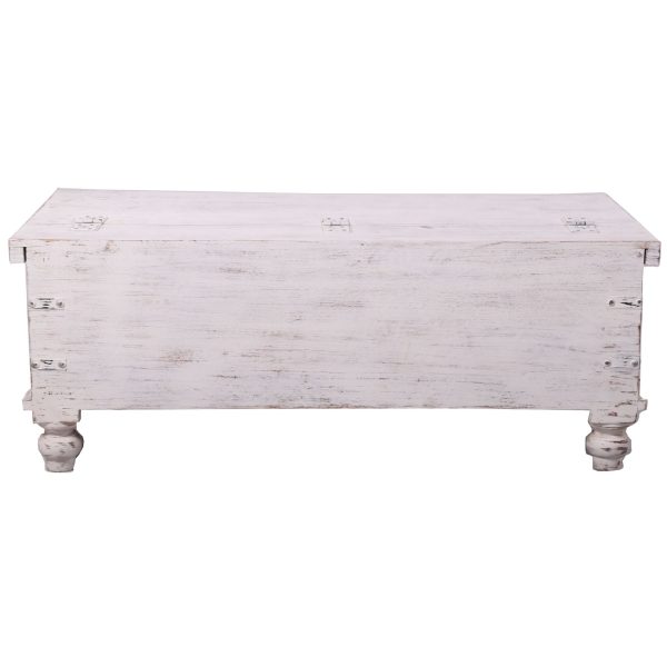 Surya Coffee Table Antique Handcrafted Solid Mango Wood Storage Trunk Chest Box Online Hot Sale