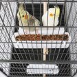 132cm Large Rolling Mobile Bird Cage Birdcage Finch Aviary Parrot Animals Playtop Stand Canary Finch Online Hot Sale