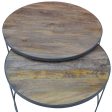 Nolana  2pc Mango Wood and Metal Round Nesting 80cm Coffee Table Set - Natural Online now