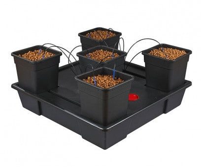 5 Pot Hydroponic Drip System | Wilma XXL 5 Sale