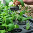 20 Plant Aeroponic Propagation Mister | Nutriculture X-Stream For Cheap