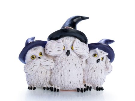 3 Wise Snowy Owls on Sale